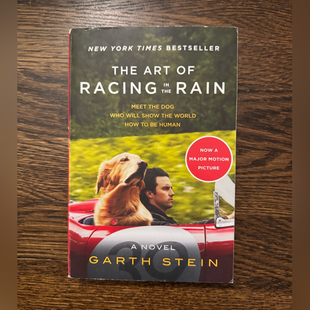 The Art of Racing in the Rain by: Garth Stein
